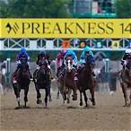 what horse to bet on preakness